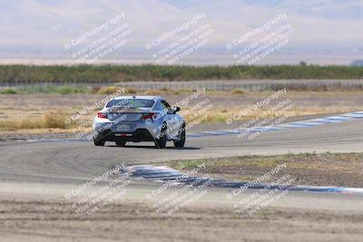 media/Oct-04-2025-OnGrid (Sat) [[44bd565ffa]]/Green Group/Grapevine/